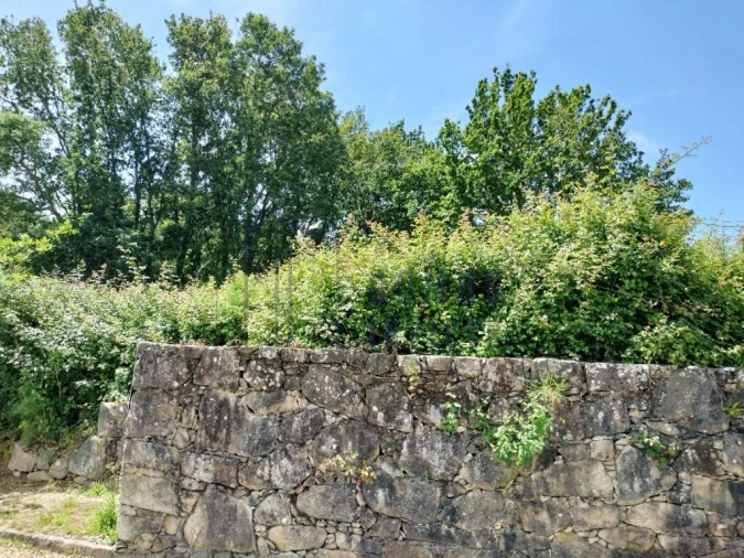 Terreno para Venda em Venade e Azevedo Foto 5