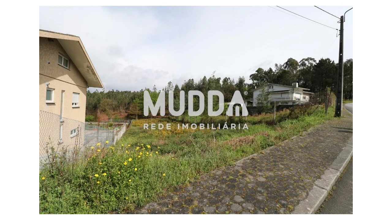 Terreno para Venda em Canedo, Vale e Vila Maior Foto 2