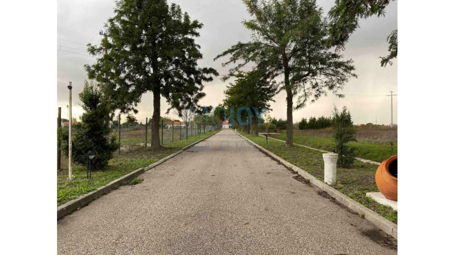 Quinta T4 para Venda em Poceirão e Marateca Foto 82