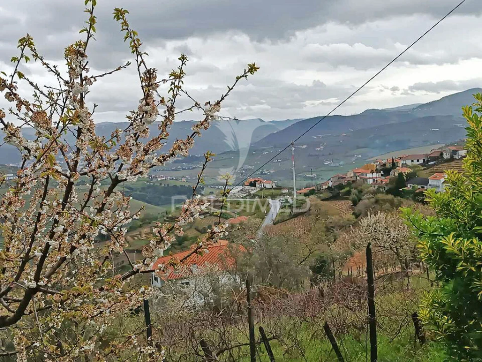 Moradia T2 para Venda em Penajoia Foto 2