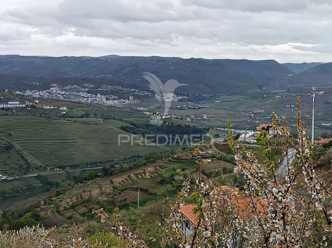 Moradia T2 para Venda em Penajoia Foto 6