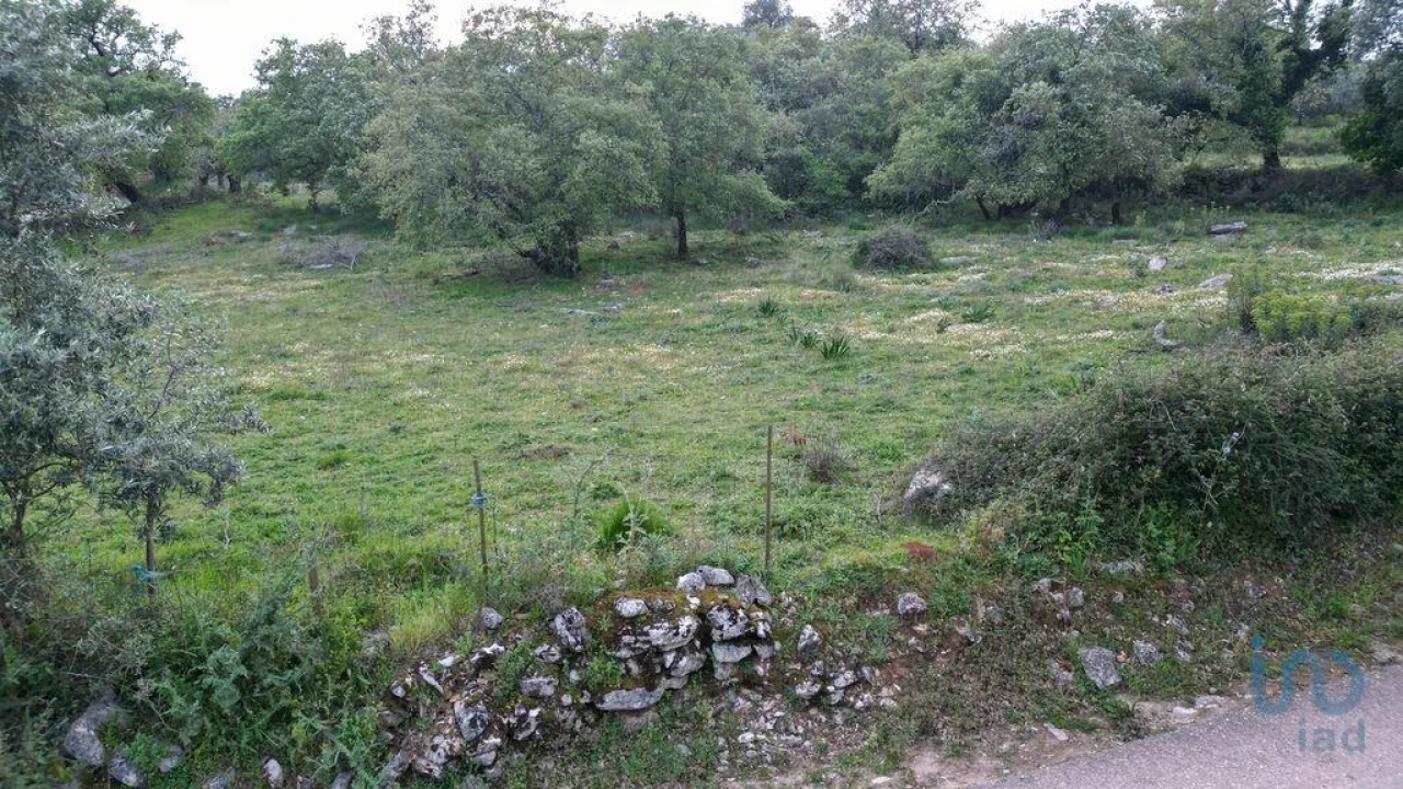 Terreno para Venda em Cumeeira Foto 9