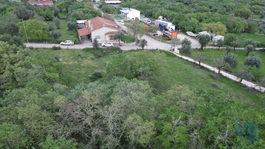 Terreno para Venda em Cumeeira Foto 6