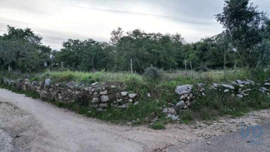 Terreno para Venda em Cumeeira Foto 7