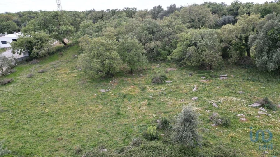 Terreno para Venda em Cumeeira Foto 2