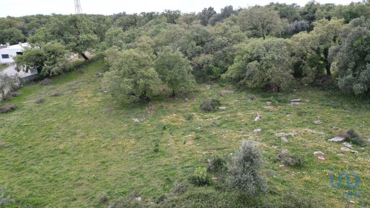 Terreno para Venda em Cumeeira Foto 2