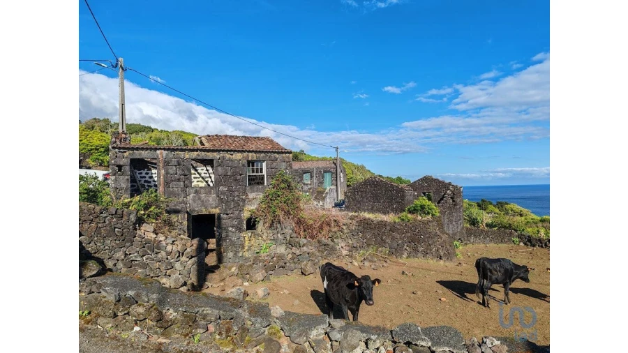 Moradia para Venda em Ribeiras Foto 6
