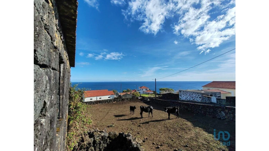 Moradia para Venda em Ribeiras Foto 2