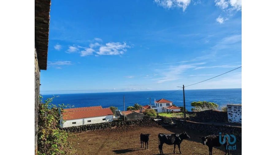 Moradia para Venda em Ribeiras Foto 3
