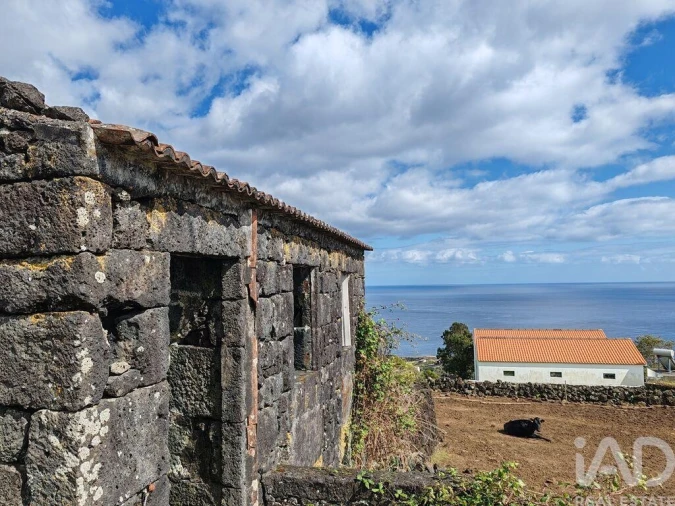 Moradia para Venda em Ribeiras Foto 17