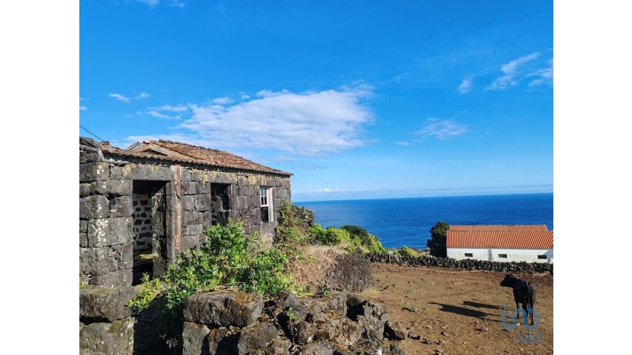 Moradia para Venda em Ribeiras Foto 9