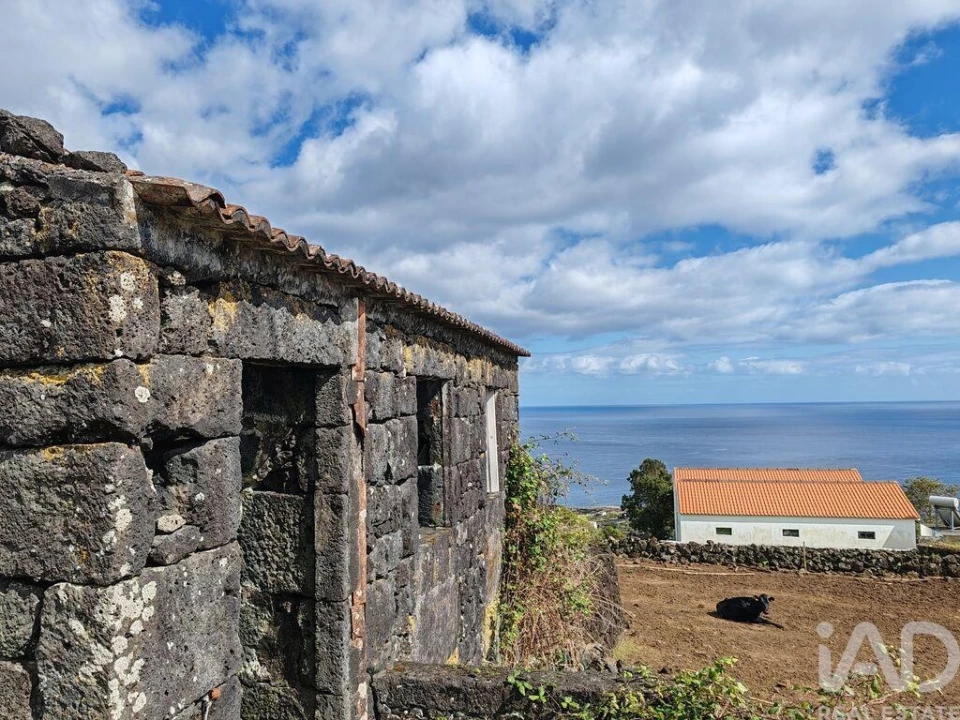 Moradia para Venda em Ribeiras Foto 17