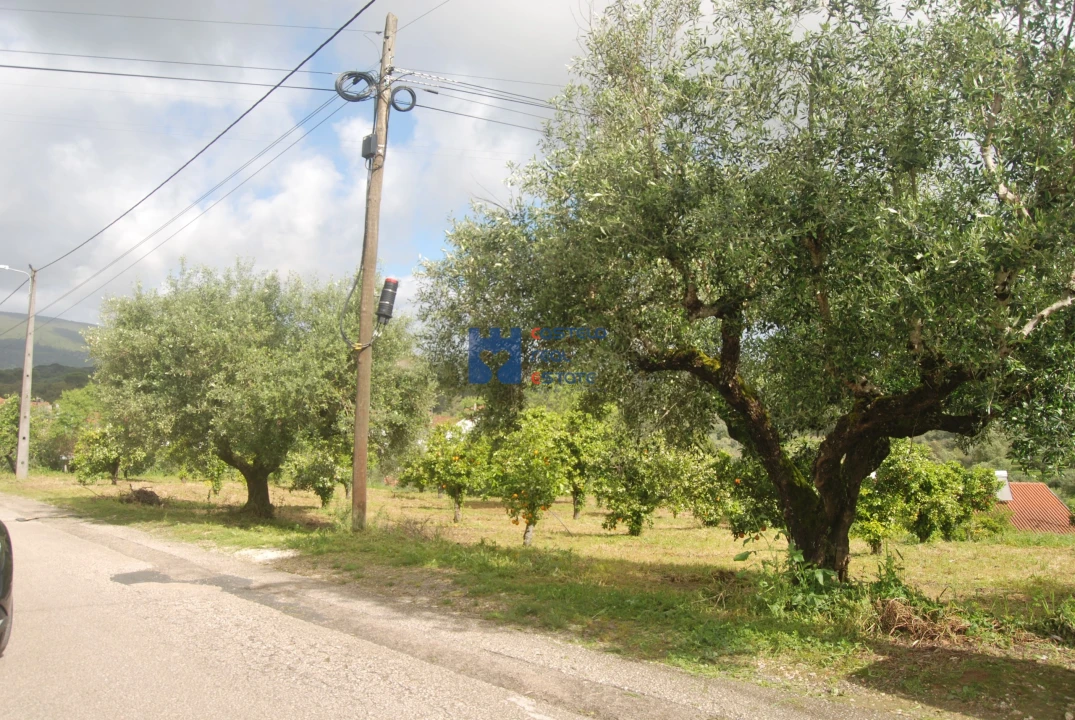 Terreno para Venda em Pedrogão Foto 15