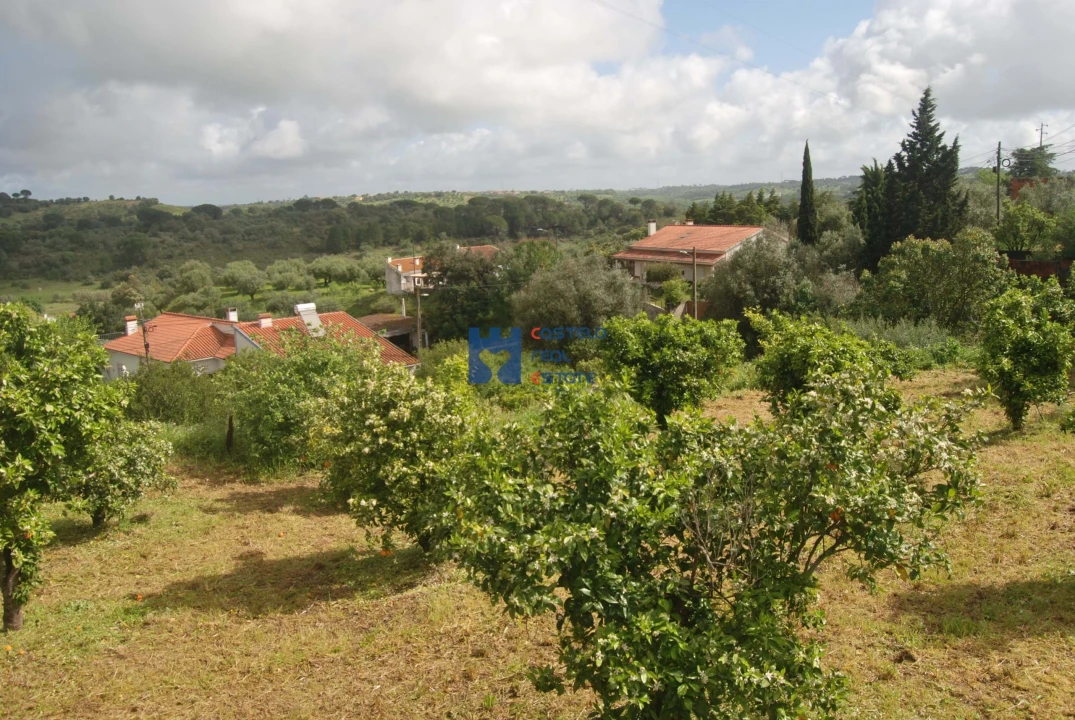 Terreno para Venda em Pedrogão Foto 2