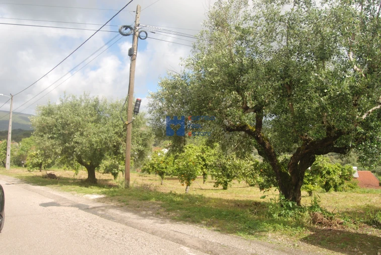 Terreno para Venda em Pedrogão Foto 15