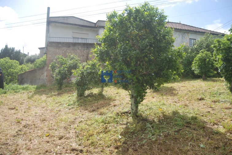 Terreno para Venda em Pedrogão Foto 5