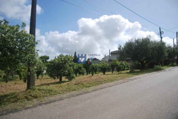 Terreno para Venda em Pedrogão Foto 12