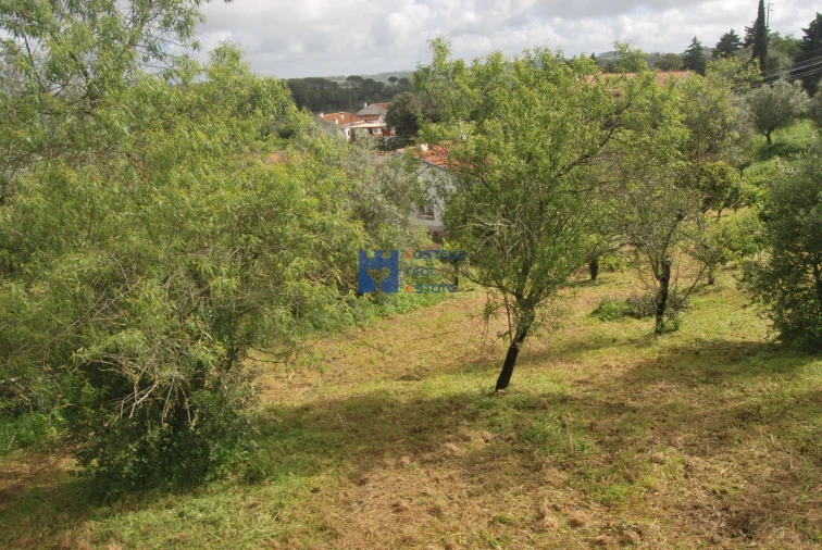 Terreno para Venda em Pedrogão Foto 18