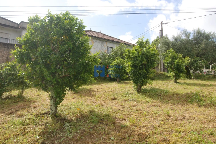 Terreno para Venda em Pedrogão Foto 6