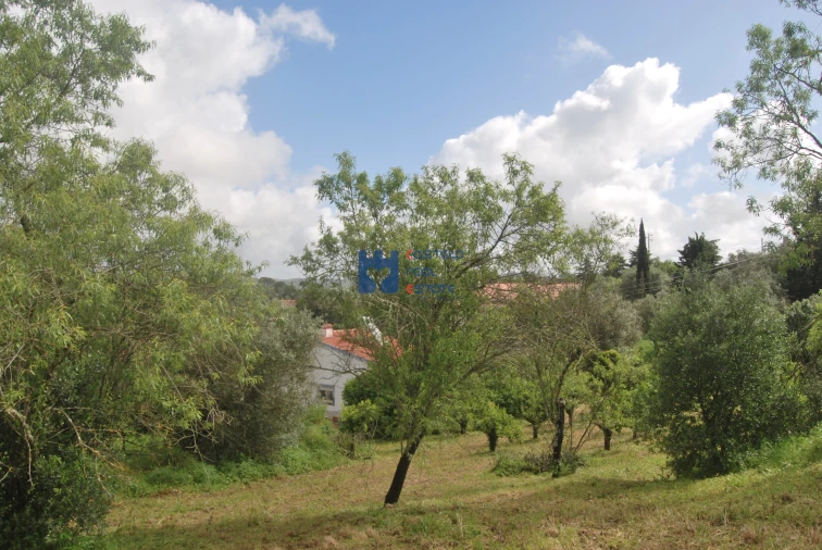 Terreno para Venda em Pedrogão Foto 17