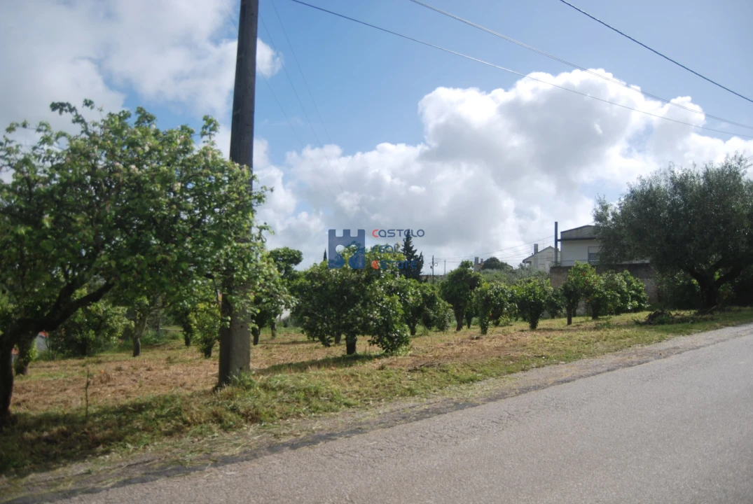 Terreno para Venda em Pedrogão Foto 11