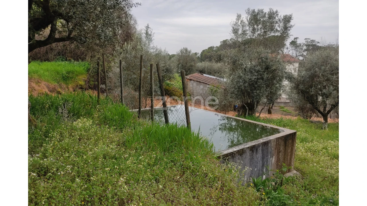 Terreno para Venda em Carvalhal Redondo e Aguieira Foto 23