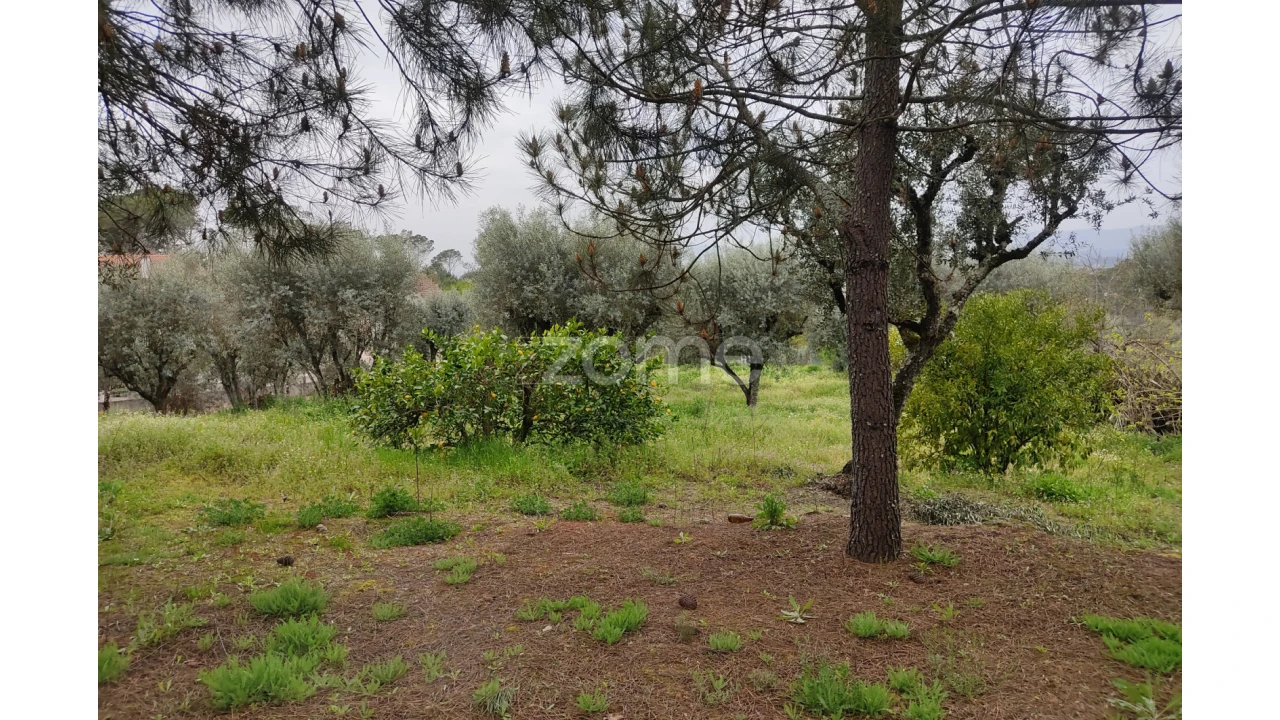 Terreno para Venda em Carvalhal Redondo e Aguieira Foto 15