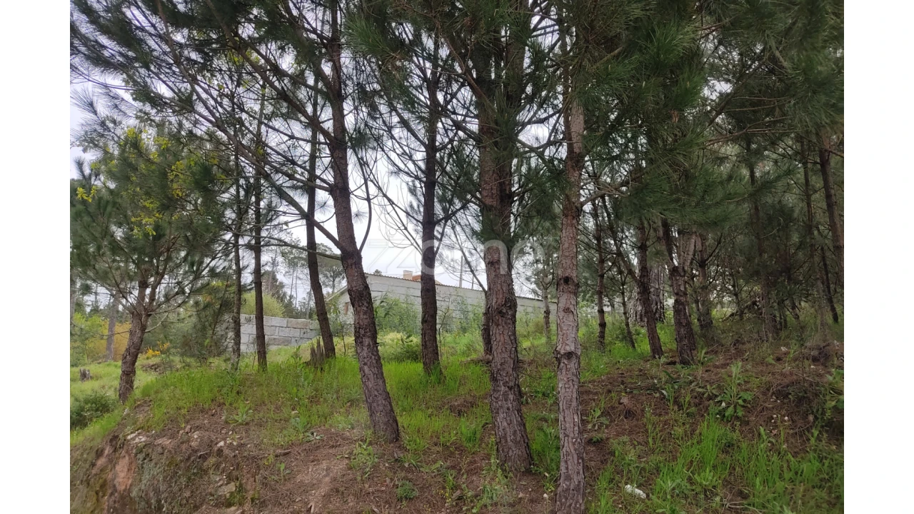 Terreno para Venda em Carvalhal Redondo e Aguieira Foto 2