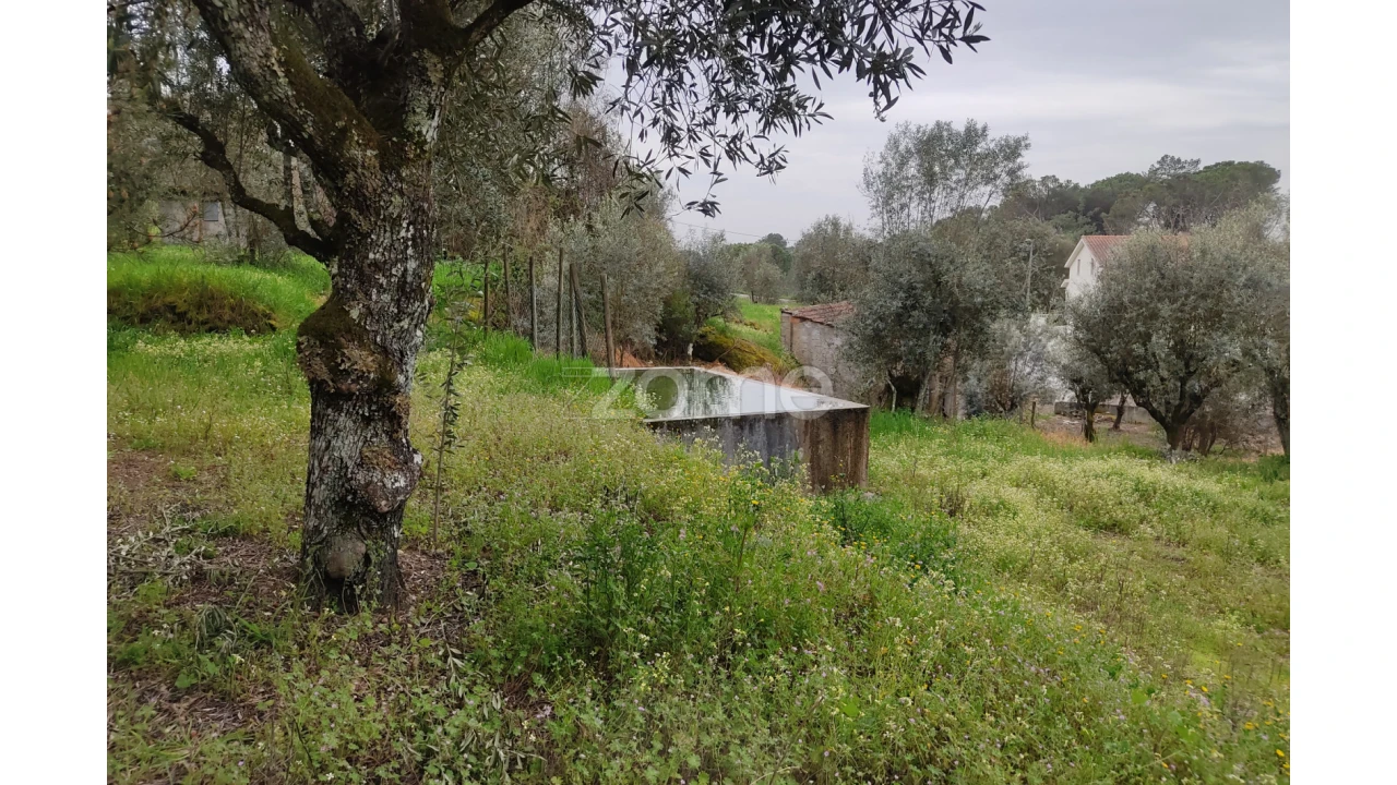 Terreno para Venda em Carvalhal Redondo e Aguieira Foto 27
