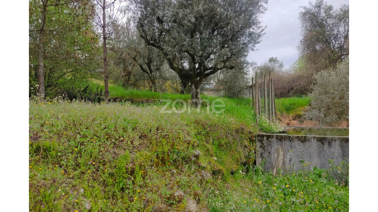 Terreno para Venda em Carvalhal Redondo e Aguieira Foto 25