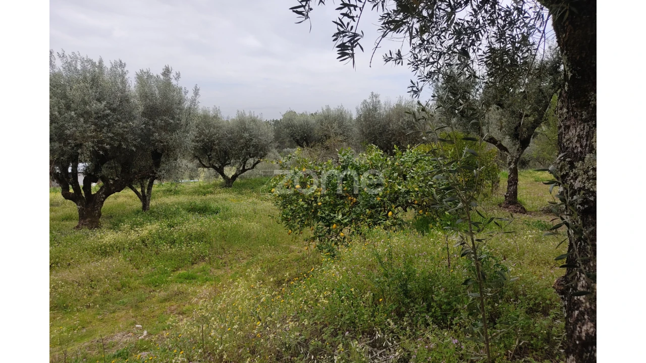 Terreno para Venda em Carvalhal Redondo e Aguieira Foto 17