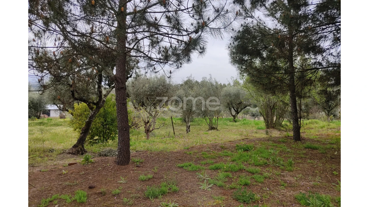 Terreno para Venda em Carvalhal Redondo e Aguieira Foto 19