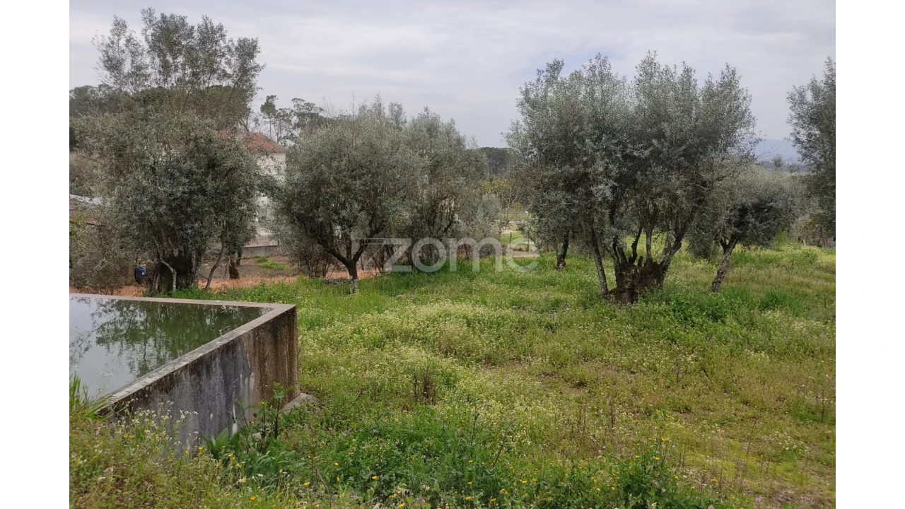 Terreno para Venda em Carvalhal Redondo e Aguieira Foto 24