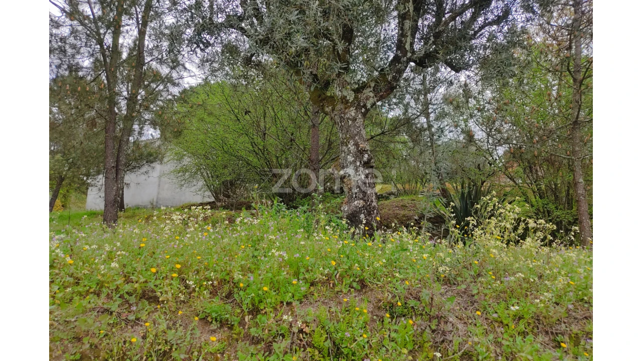 Terreno para Venda em Carvalhal Redondo e Aguieira Foto 20