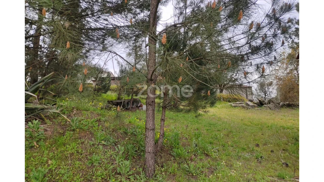 Terreno para Venda em Carvalhal Redondo e Aguieira Foto 12