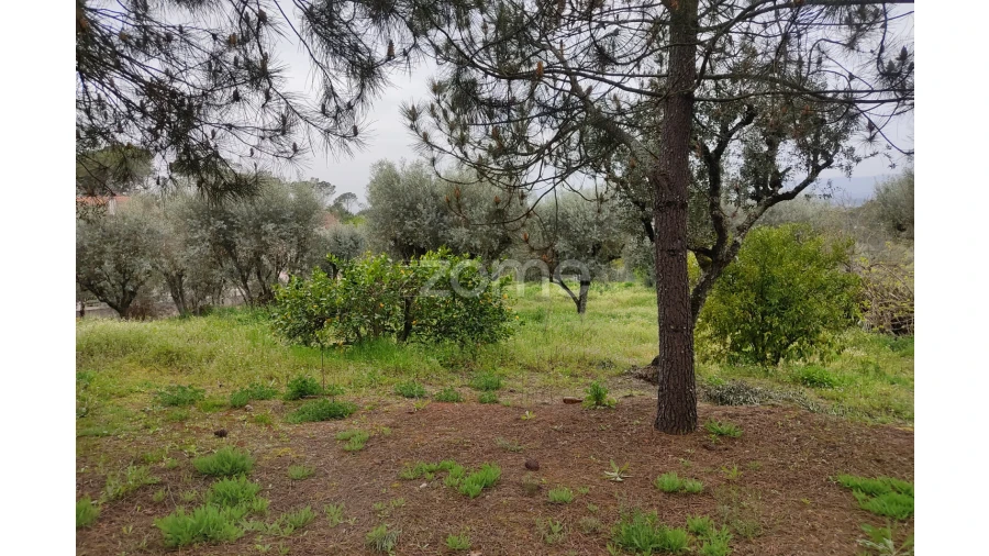 Terreno para Venda em Carvalhal Redondo e Aguieira Foto 16