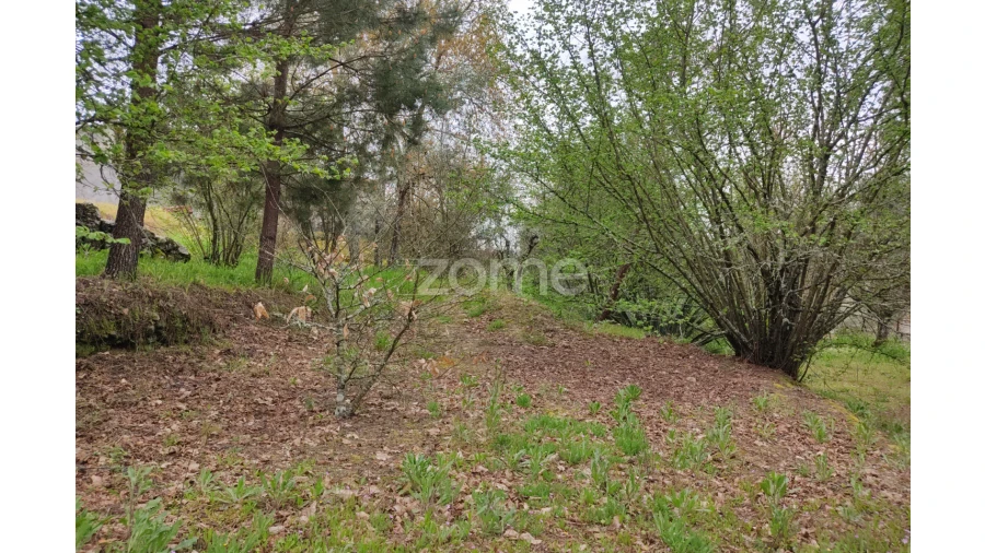 Terreno para Venda em Carvalhal Redondo e Aguieira Foto 29