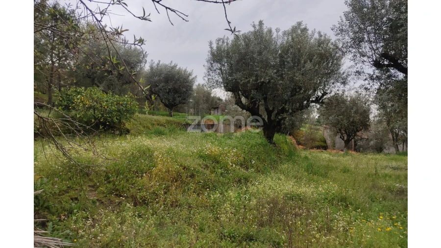 Terreno para Venda em Carvalhal Redondo e Aguieira Foto 30