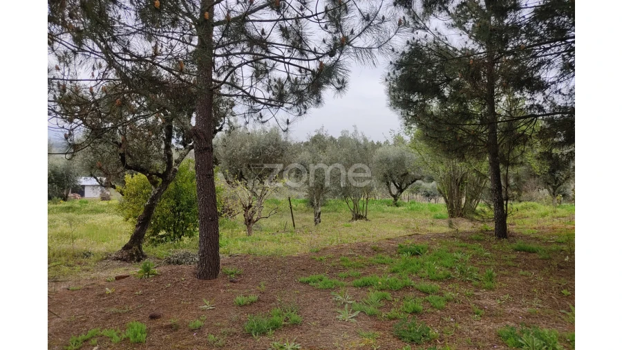 Terreno para Venda em Carvalhal Redondo e Aguieira Foto 20