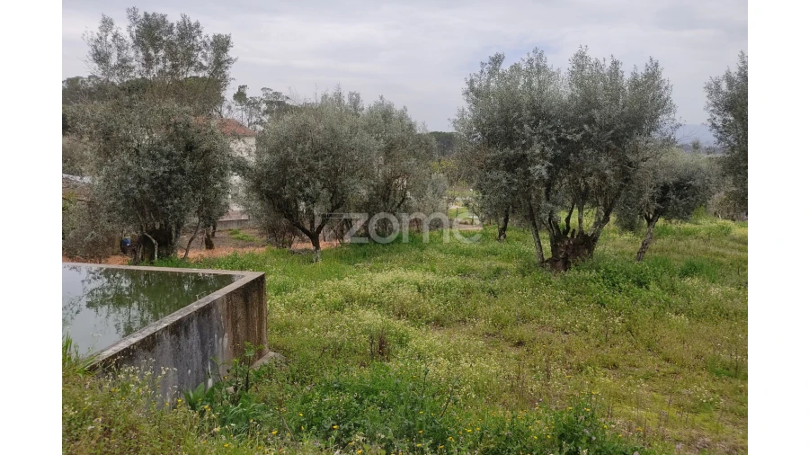 Terreno para Venda em Carvalhal Redondo e Aguieira Foto 25
