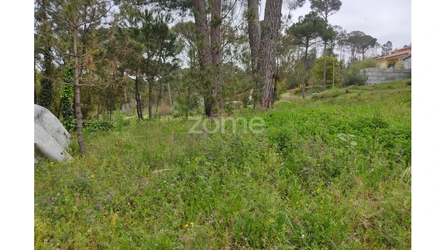 Terreno para Venda em Carvalhal Redondo e Aguieira Foto 14