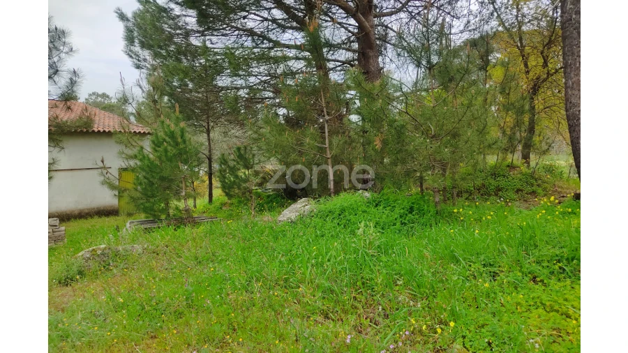 Terreno para Venda em Carvalhal Redondo e Aguieira Foto 6