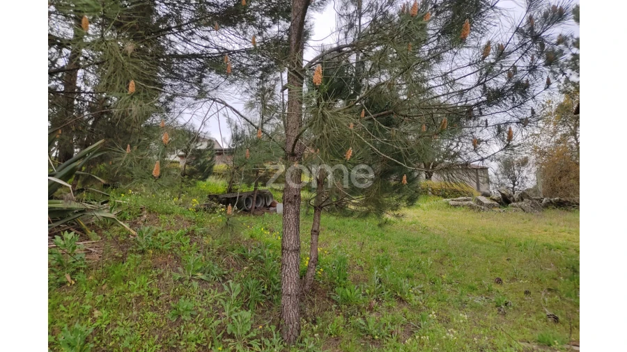 Terreno para Venda em Carvalhal Redondo e Aguieira Foto 13