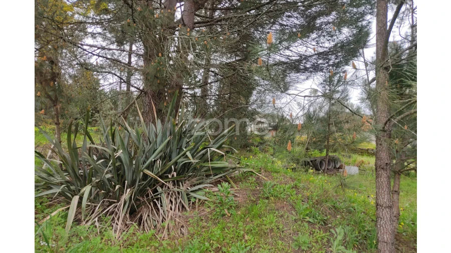 Terreno para Venda em Carvalhal Redondo e Aguieira Foto 8