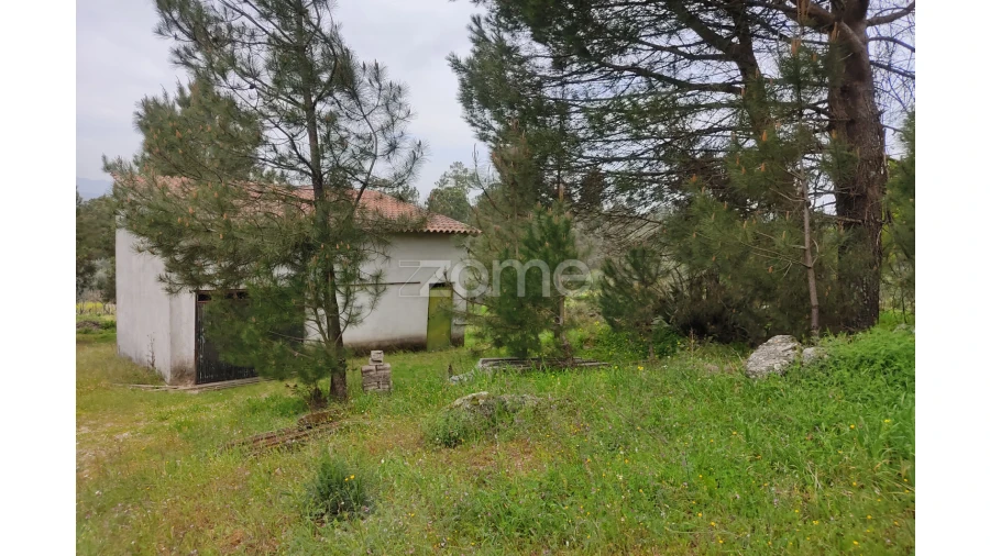 Terreno para Venda em Carvalhal Redondo e Aguieira Foto 9