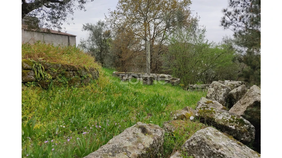 Terreno para Venda em Carvalhal Redondo e Aguieira Foto 10