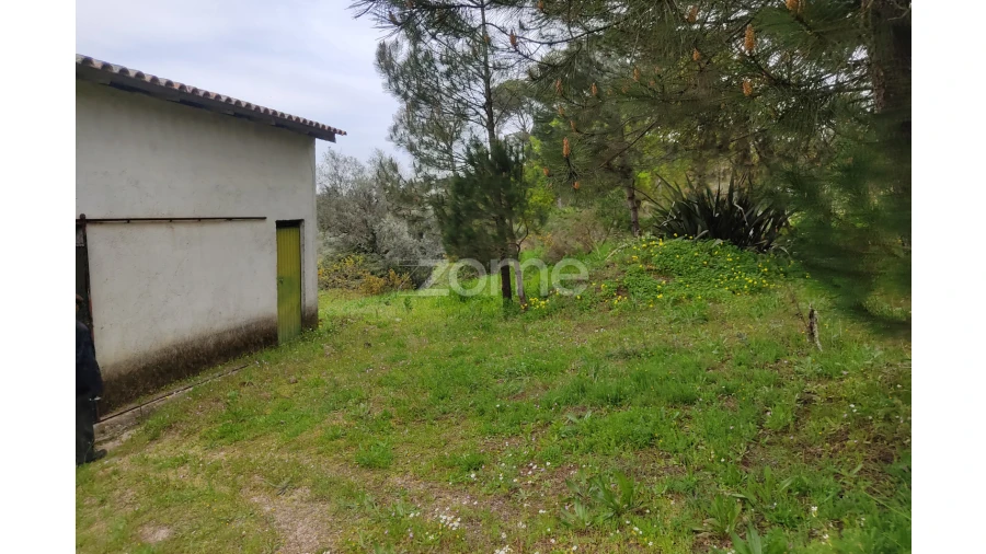 Terreno para Venda em Carvalhal Redondo e Aguieira Foto 17