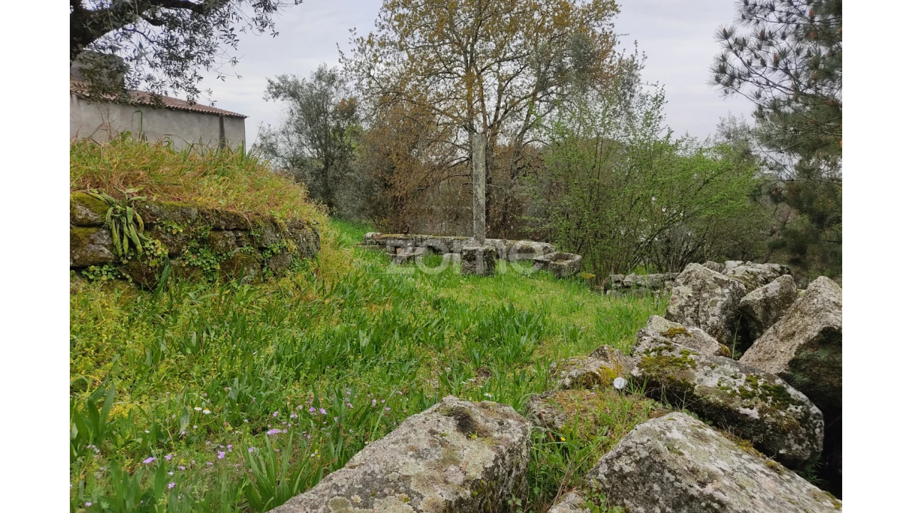 Terreno para Venda em Carvalhal Redondo e Aguieira Foto 9