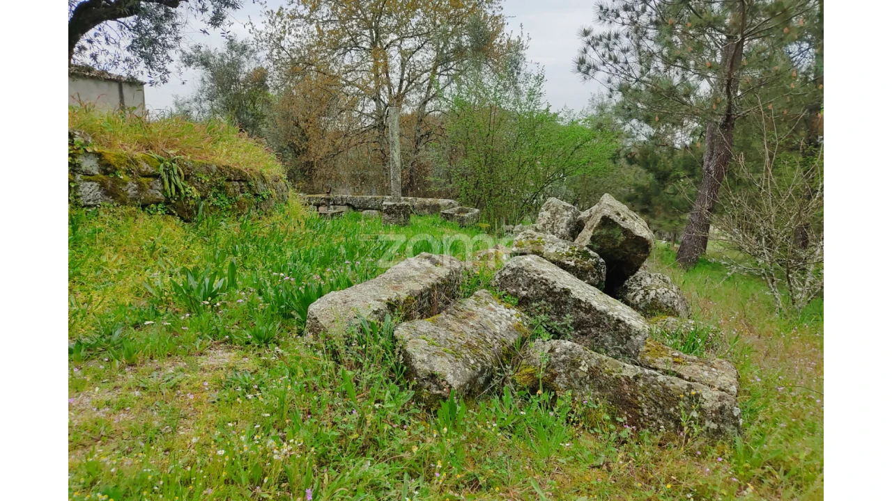 Terreno para Venda em Carvalhal Redondo e Aguieira Foto 11