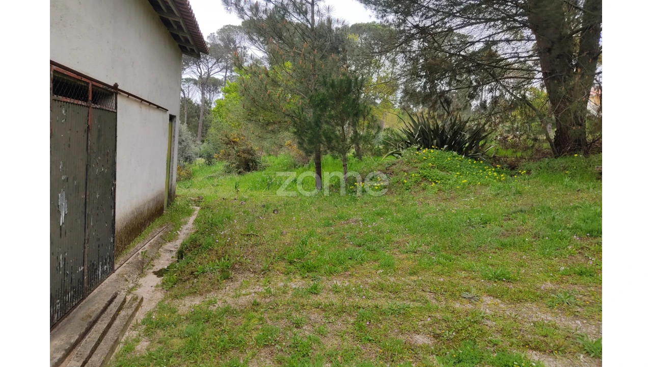 Terreno para Venda em Carvalhal Redondo e Aguieira Foto 6